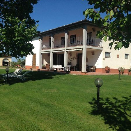 Il Grano Di Bramante Villa Marrucheto Luaran gambar